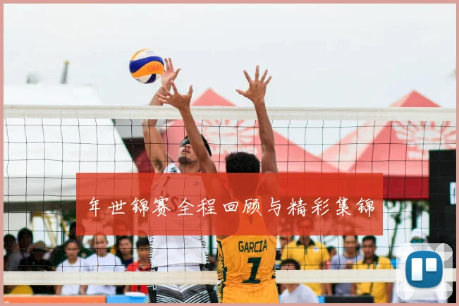 年世锦赛全程回顾与精彩集锦